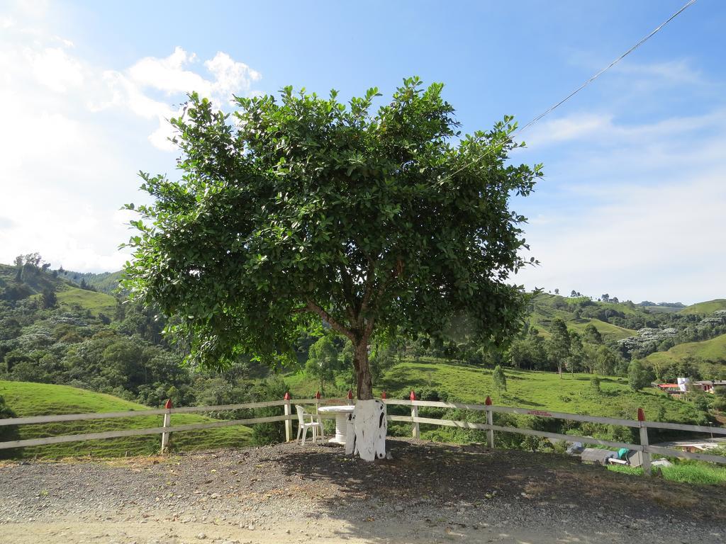 Finca Recreacional Marcelandia Santa Rosa de Cabal Dış mekan fotoğraf