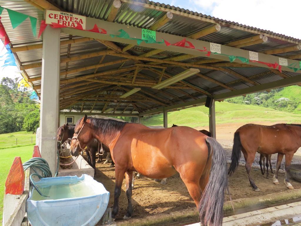 Finca Recreacional Marcelandia Santa Rosa de Cabal Dış mekan fotoğraf